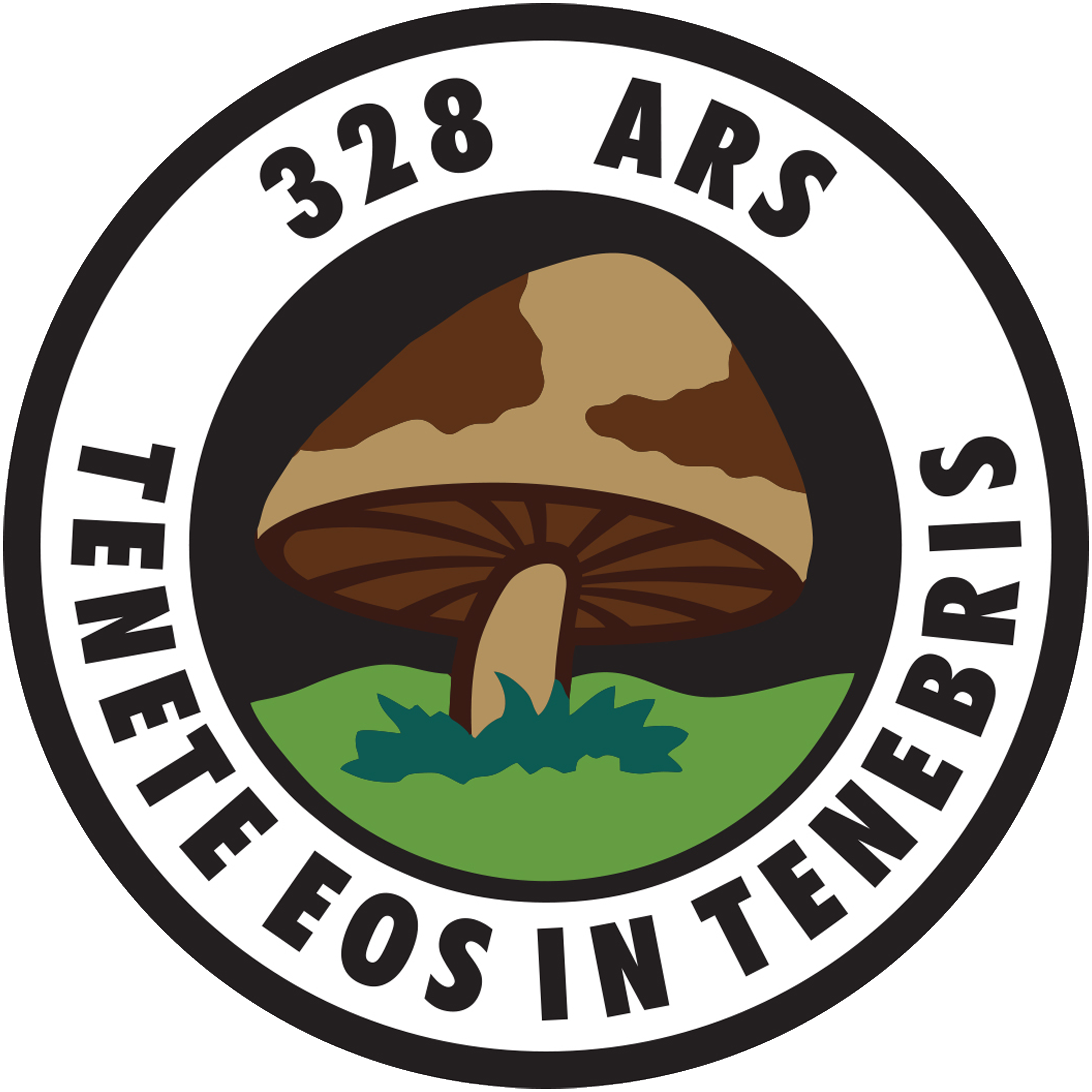 328th Air Refueling Squadron insignia