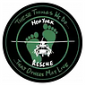101st Rescue Squadron insignia